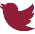 twitter-logo.png